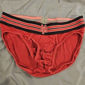 NASTY PIG briefs large
